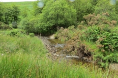 15. Flowing beneath Ware Ball upstream from Westermill (19)