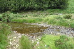 15. Flowing beneath Ware Ball upstream from Westermill (2)