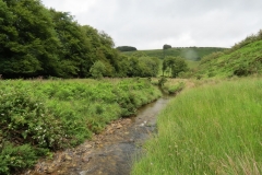 15. Flowing beneath Ware Ball upstream from Westermill (20)