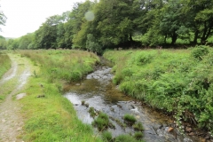 15. Flowing beneath Ware Ball upstream from Westermill (23)
