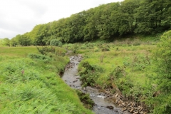 15. Flowing beneath Ware Ball upstream from Westermill (3)