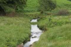 15. Flowing beneath Ware Ball upstream from Westermill (5)