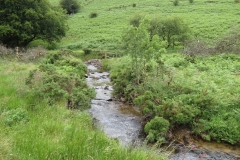 15. Flowing beneath Ware Ball upstream from Westermill (8)
