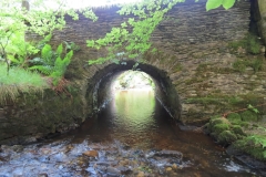 2. Warren Bridge upstream arch (2)