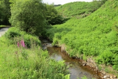 6. Downstream from Warren Bridge (2)