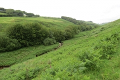 8. Exe Valley looking downstream from Warren Bridge
