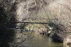 11. Myrtleberry Bridge upstream face