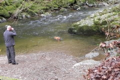 15. Enjoying a swim near Myrtleberry