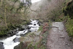 16. Upstream from Wester Wood Footbridge