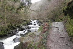 16. Upstream from Wester Wood Footbridge