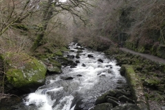 16a. Looking upstream from Wester Wood Footbridge