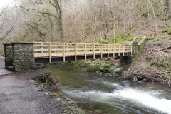 17. Wester Wood Footbridge upstream face