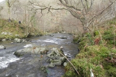 2. Upstream from Chislecombe Bridge