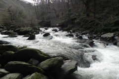 30. Downstream from Blackpool Bridge