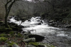 31. Downstream from Blackpool Bridge
