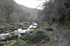 40. Downstream from Woodside Bridge