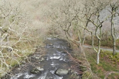 9. Looking downstream from Chislecombe Bridge