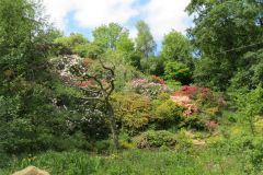 Near-Oakford-Bridge-2