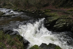 11. Downstream from Watersmeet