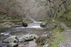 13. Downstream from Watersmeet