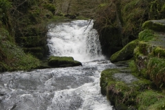 7. Looking upstream from Hoaroak Water Watersmeet Bridge