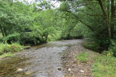 2. Downstream from Week Bridge (4)