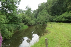 3. Upstream from Bridgetown Mill Weir (1)