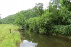 3. Upstream from Bridgetown Mill Weir (2)