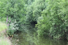 3. Upstream from Bridgetown Mill Weir (3)