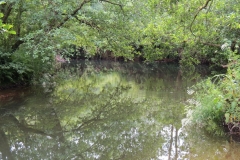 3. Upstream from Bridgetown Mill Weir (4)