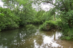 3. Upstream from Bridgetown Mill Weir (5)