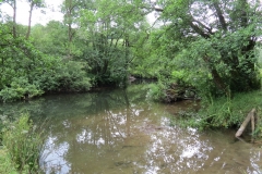 3. Upstream from Bridgetown Mill Weir (6)