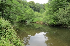 3. Upstream from Bridgetown Mill Weir (7)