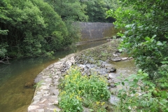 4. Bridgetown Mill Weir (1)