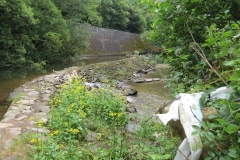 4. Bridgetown Mill Weir (2)