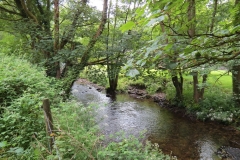 5. Downstream from Bridgetown Mill Weir  (1)