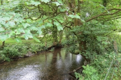 5. Downstream from Bridgetown Mill Weir  (2)