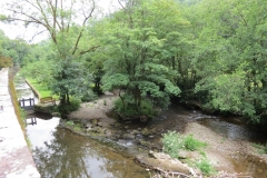 5. Downstream from Bridgetown Mill Weir
