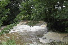 River Brue Mill Streams