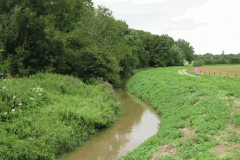 31.-Downstream-of-West-Lydford-bridge-looking-West