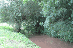33.-Downstream-of-West-Lydford-bridge-looking-East