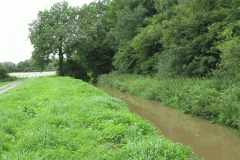35.-Downstream-of-West-Lydford-bridge-looking-wast