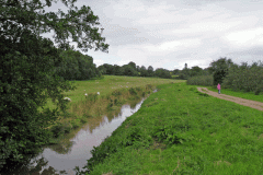 36.-Downstream-of-West-Lydford-bridge-looking-West