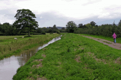 38.-Downstream-of-West-Lydford-bridge-looking-West