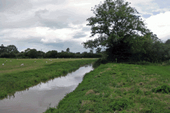 39.-Downstream-of-West-Lydford-bridge-looking-West