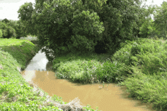 29.-Lydford-Mill-Stream-joins-King-o-Mill-Stream