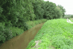 32.-Downstream-of-West-Lydford-bridge-looking-West