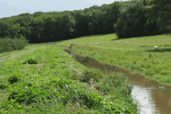 41.-Downstream-of-West-Lydford-bridge-looking-East