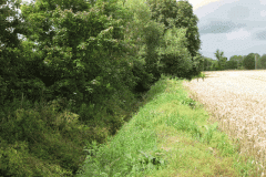 5.-Looking-west-from-Mill-Farm-Bridge