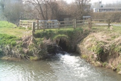 60.-Barton-Mill-Mill-Stream-rejoins-the-Brue